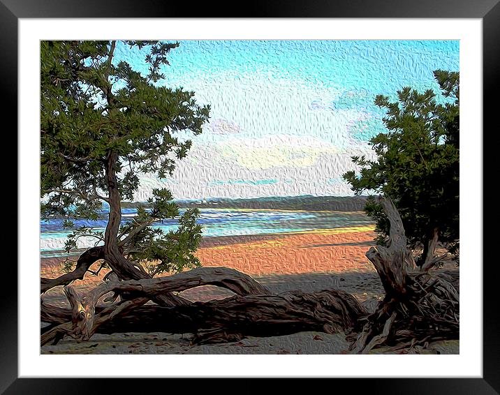 Painted Image of Playa Guionnes  Framed Mounted Print by james balzano, jr.
