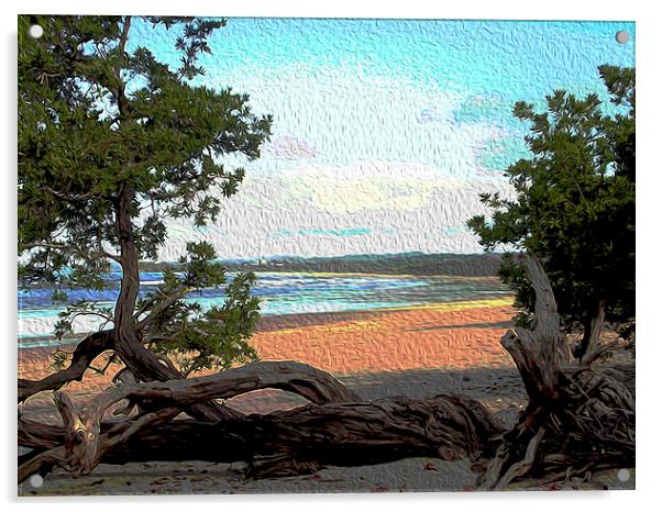 Painted Image of Playa Guionnes  Acrylic by james balzano, jr.