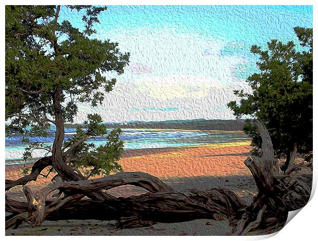 Painted Image of Playa Guionnes  Print by james balzano, jr.