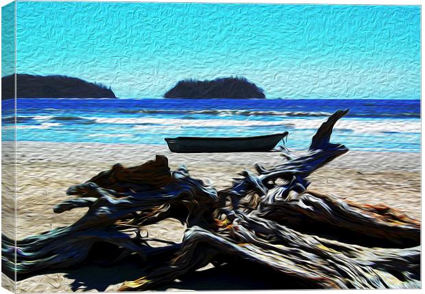  Driftwood on Beach at Playa Samara Canvas Print by james balzano, jr.