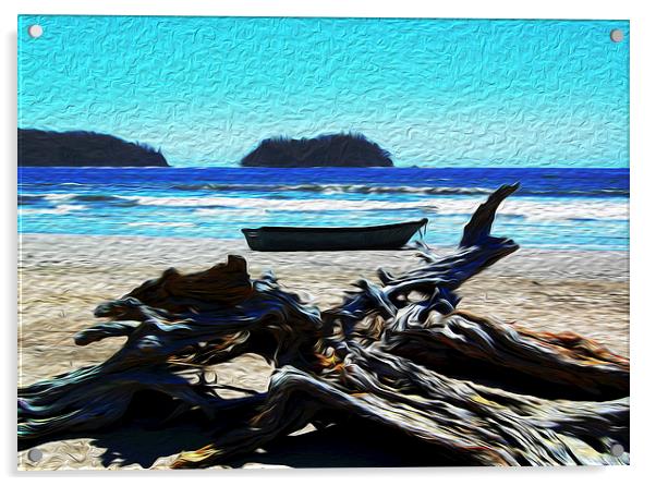  Driftwood on Beach at Playa Samara Acrylic by james balzano, jr.