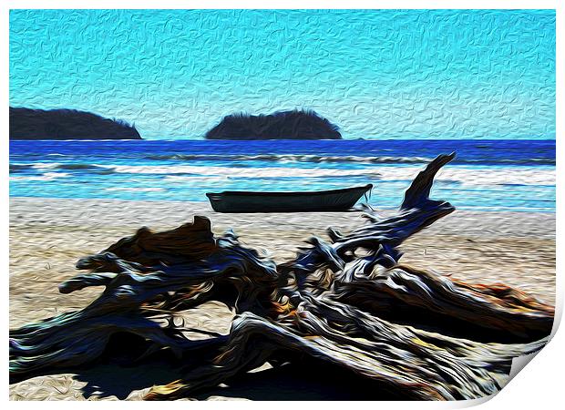  Driftwood on Beach at Playa Samara Print by james balzano, jr.