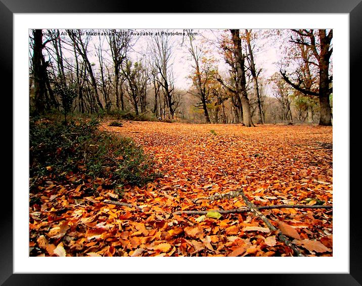  The beauties of Autumn in OLANG jungle 6, Framed Mounted Print by Ali asghar Mazinanian