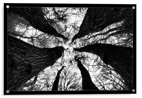   Spooky trees Acrylic by David Portwain