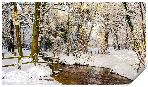  Snowy winter glade Print by Max Stevens