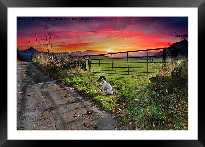  sunset walk Framed Mounted Print by Derrick Fox Lomax