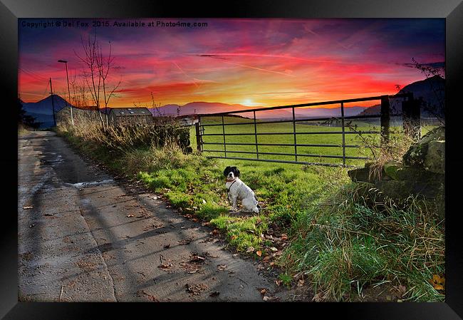  sunset walk Framed Print by Derrick Fox Lomax