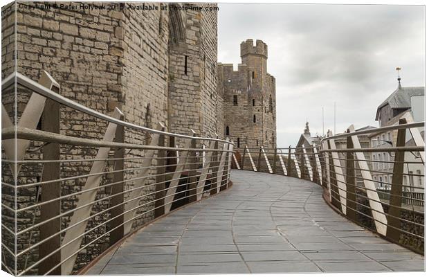 Walkway To The Castle Canvas Print by Pete Holyoak