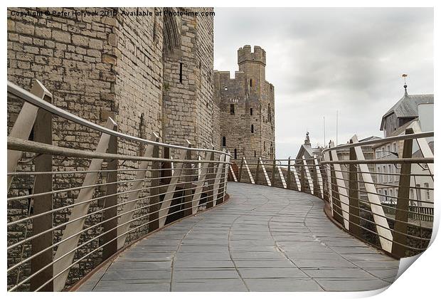 Walkway To The Castle Print by Pete Holyoak