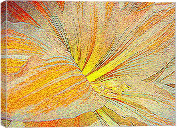 Amaryllis in orange red and yellow - sketch style Canvas Print by Heather Gale