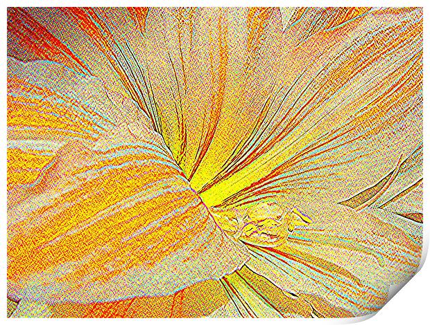 Amaryllis in orange red and yellow - sketch style Print by Heather Gale