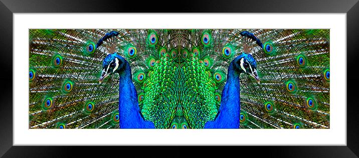  Mirror Image Framed Mounted Print by Ray Lewis
