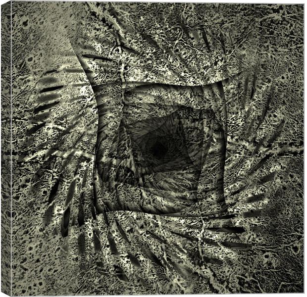  Mars In The Square Canvas Print by Florin Birjoveanu