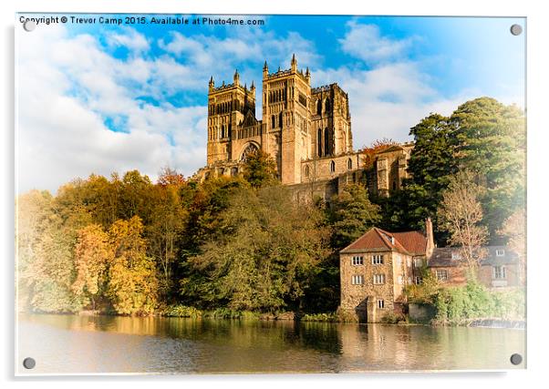 Majestic and Mighty Durham Acrylic by Trevor Camp