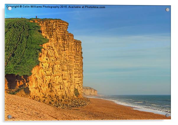 West Bay Dorset  Broadchurch 4 Acrylic by Colin Williams Photography