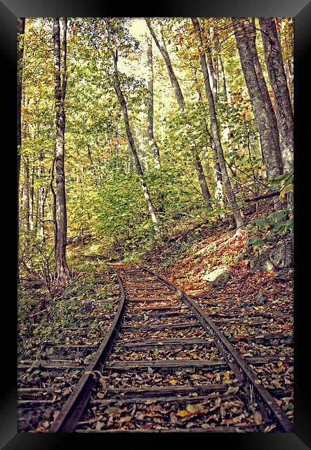  Tracks In Nature Framed Print by Tom and Dawn Gari
