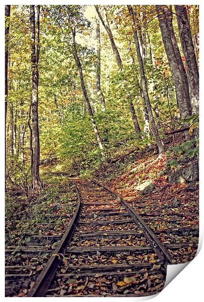 Tracks In Nature Print by Tom and Dawn Gari