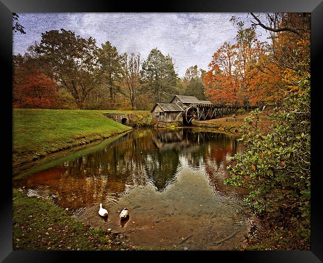  Reflections Of The Mill Framed Print by Tom and Dawn Gari
