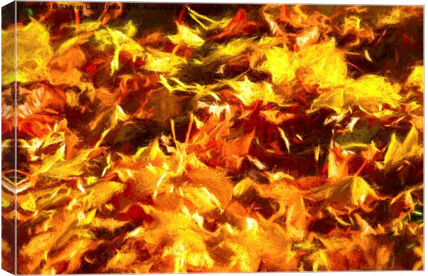  Autumn leaves Canvas Print by Sharon Lisa Clarke