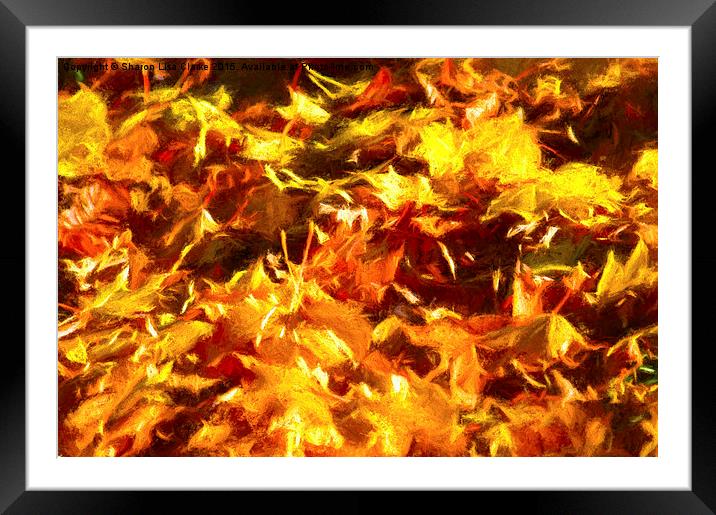  Autumn leaves Framed Mounted Print by Sharon Lisa Clarke