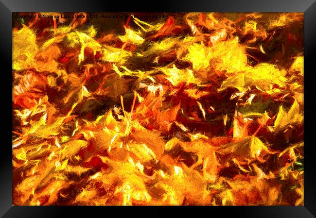  Autumn leaves Framed Print by Sharon Lisa Clarke