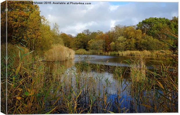  Wake Valley Pond, Epping Forest Canvas Print by Diana Mower