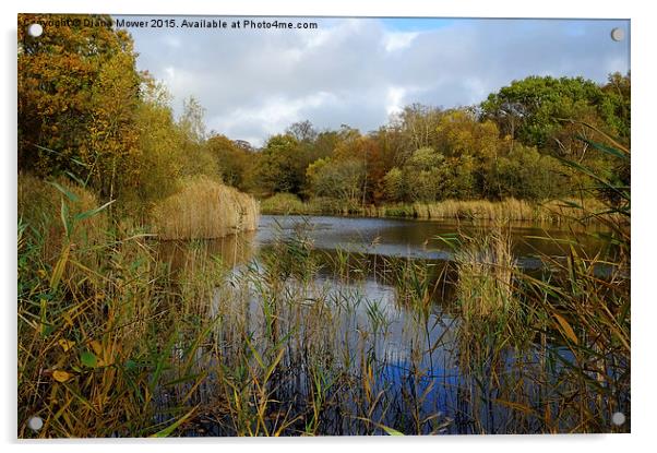  Wake Valley Pond, Epping Forest Acrylic by Diana Mower