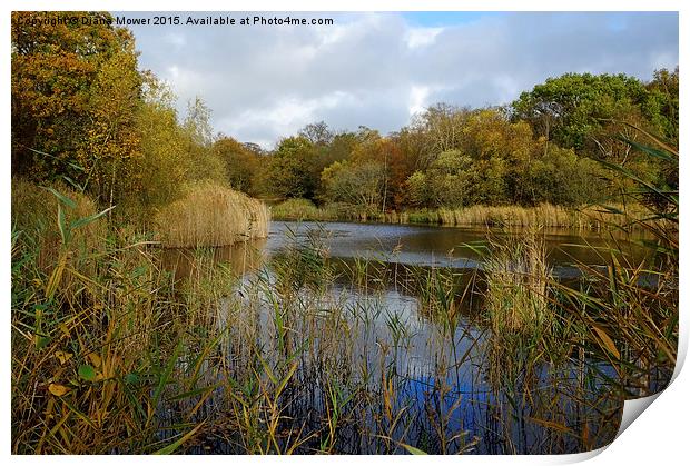  Wake Valley Pond, Epping Forest Print by Diana Mower