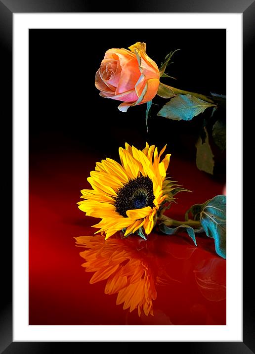 Reflective preactice by JCstudios Framed Mounted Print by JC studios LRPS ARPS