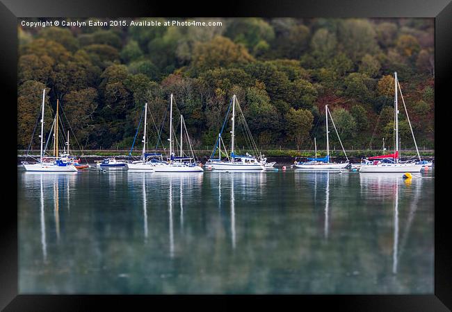  Boats on the River Dart Framed Print by Carolyn Eaton