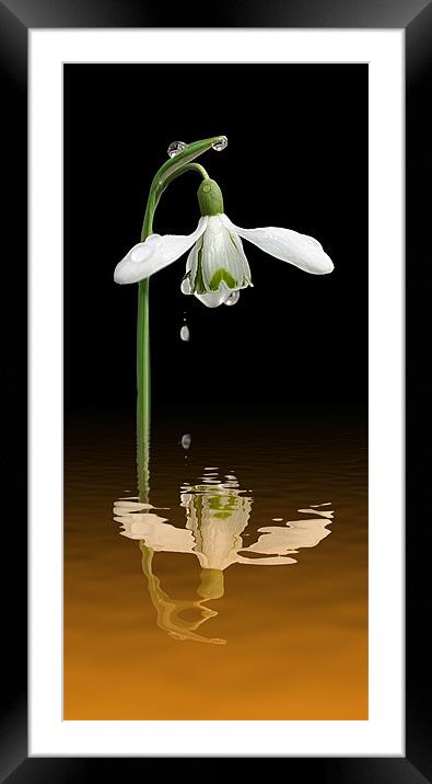 Double Vision Framed Mounted Print by David (Dai) Meacham