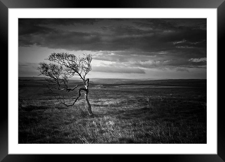 The Test Of Time, Black and White Framed Mounted Print by Simon Gladwin