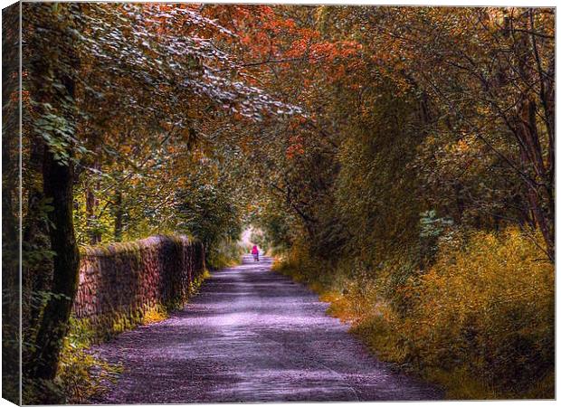  Priestly Clough Canvas Print by Irene Burdell