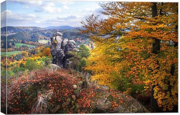  The Touch of Gold. Saxon Switzerland  Canvas Print by Jenny Rainbow