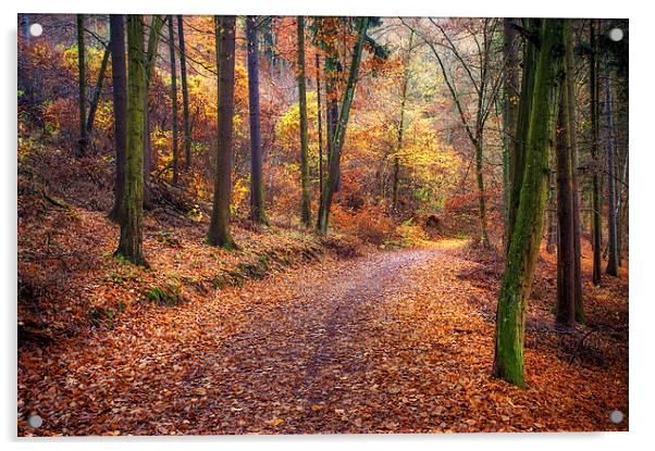 Path Through the Colorful  Autumn Acrylic by Jenny Rainbow