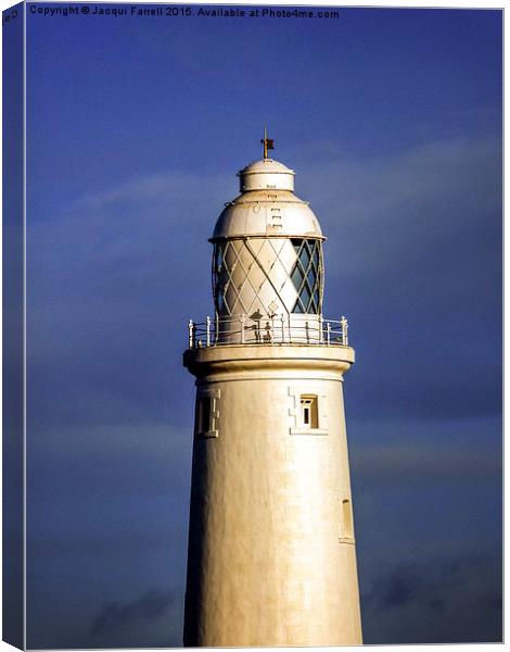  St Mary's Lighthouse Tynemouth Canvas Print by Jacqui Farrell