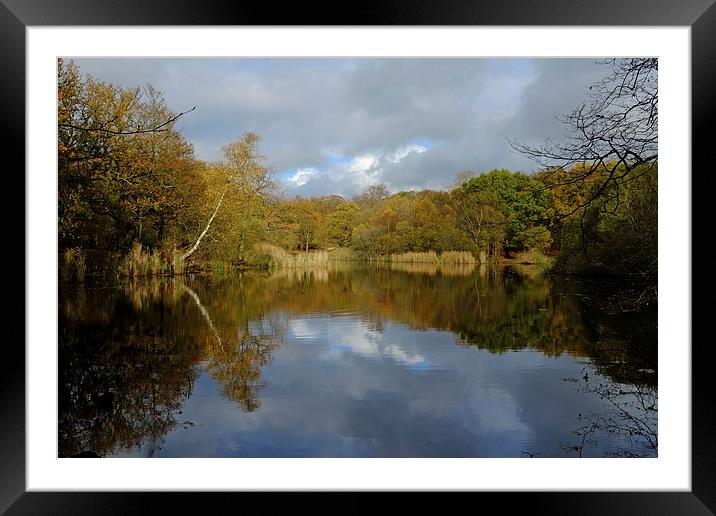 Epping Forest Lake  Framed Mounted Print by Diana Mower