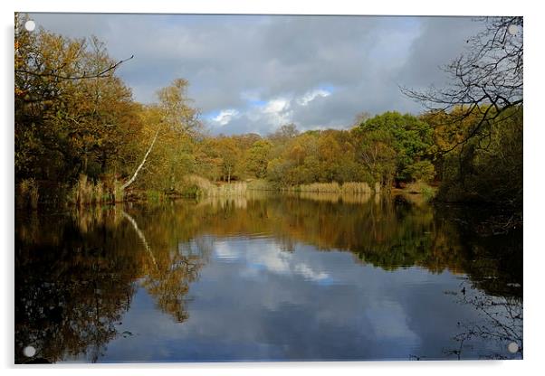 Epping Forest Lake  Acrylic by Diana Mower