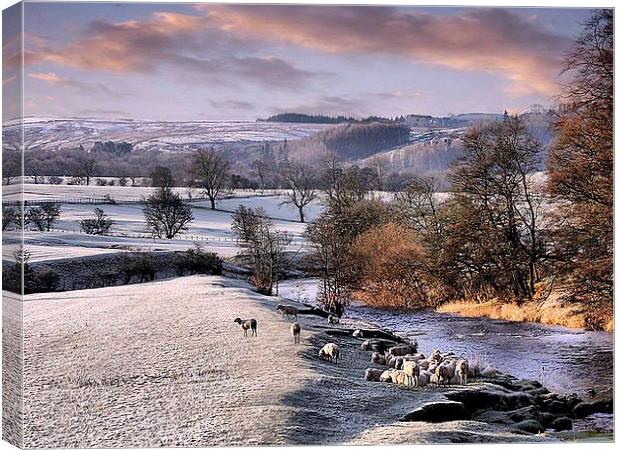 Snow in the Trough. Canvas Print by Irene Burdell
