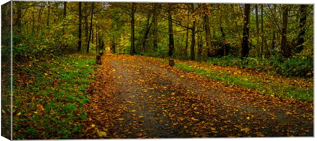  Autumn road Canvas Print by Gary Schulze