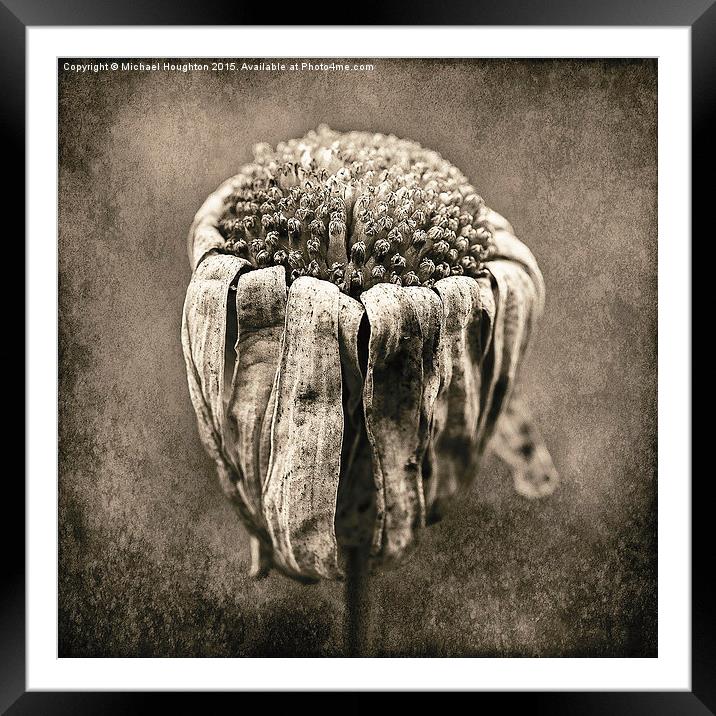  Fading Beauty Framed Mounted Print by Michael Houghton