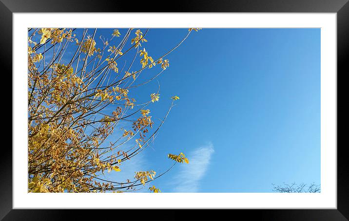  Autumn sky Framed Mounted Print by Marinela Feier