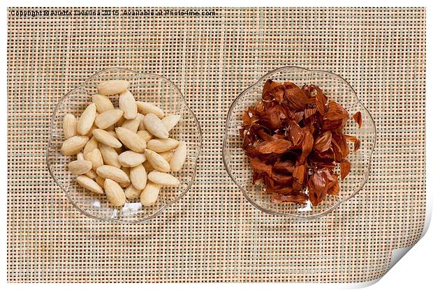 Blanched almonds and skins Print by Arletta Cwalina