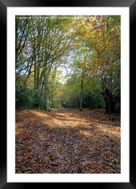  Path through 100 Aker Wood Framed Mounted Print by Craig Williams