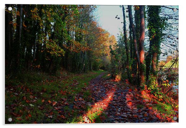  Autumn Walk Acrylic by Kim Bell