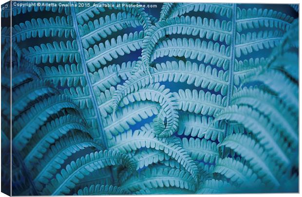 Swirled fern blue foliage macro Canvas Print by Arletta Cwalina