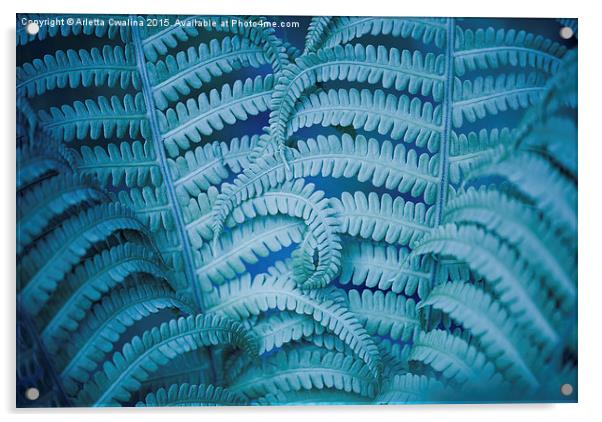 Swirled fern blue foliage macro Acrylic by Arletta Cwalina