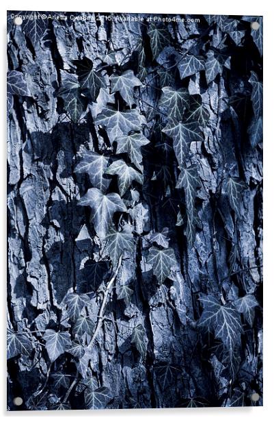 Ivy leaves blue tone Acrylic by Arletta Cwalina