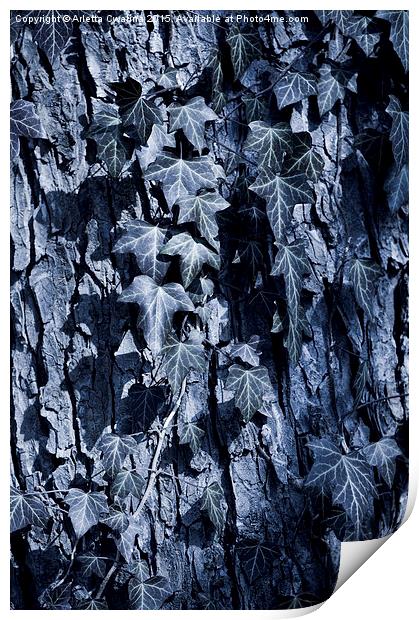 Ivy leaves blue tone Print by Arletta Cwalina