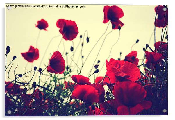 Poppies Acrylic by Martin Parratt